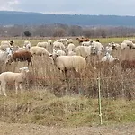 Mas Des Ricochets Aigremont