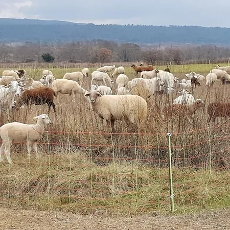 Mas Des Ricochets Aigremont